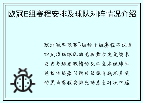 欧冠E组赛程安排及球队对阵情况介绍